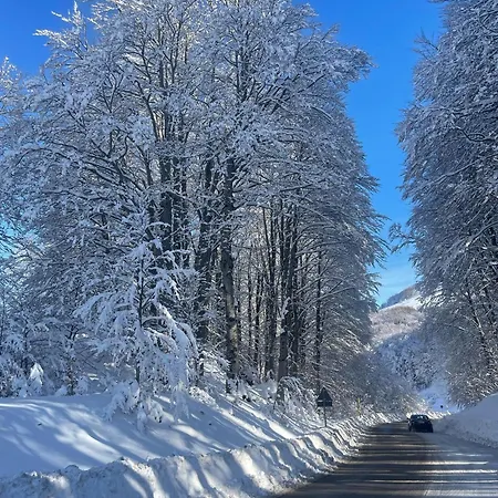 Apartamento Rifugio Dello Sciatore *