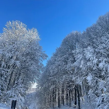 Appartamento Rifugio Dello Sciatore