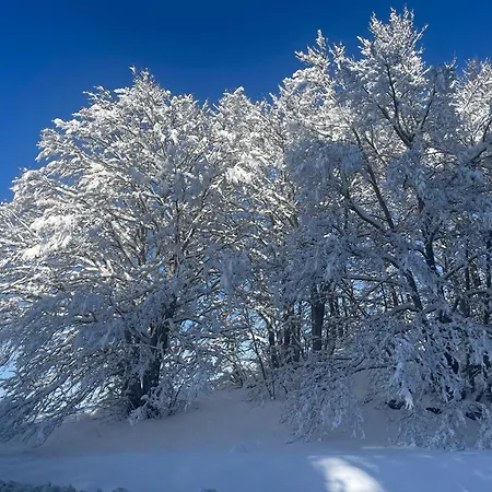 Διαμέρισμα Rifugio Dello Sciatore *