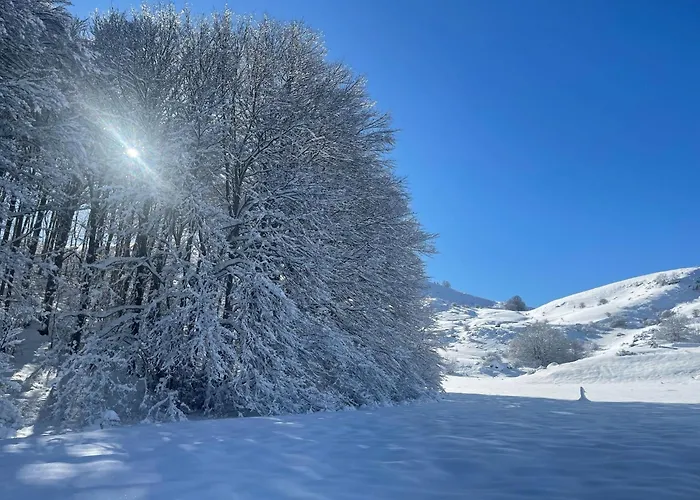 Appartement Rifugio Dello Sciatore *