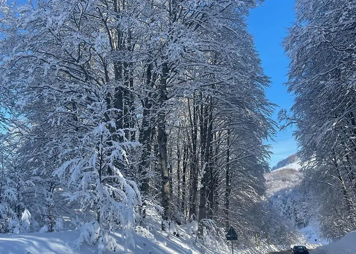 Appartement Rifugio Dello Sciatore *
