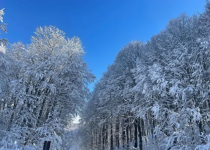 Appartement Rifugio Dello Sciatore