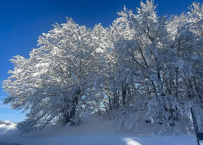 Appartement Rifugio Dello Sciatore *